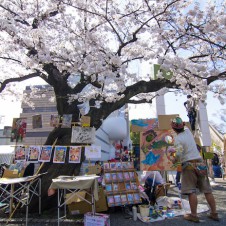 春だ、桜だ。代々木公園ではフリー（無料）イベントだ！