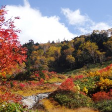 この夏の山岳遭難トップは、「道迷い」。長野県では新たな傾向が。