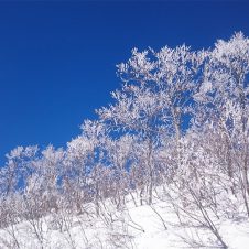 【コラム】残りの冬を数える